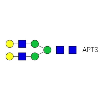 GKSP-304- AdvanceBio APTS G2 / A2G2 N-glycan standard (formerly ProZyme). N-glycan (asialo-, galactosylated biantennary) standard labeled with 8-aminopyrene-1,3,6-trisulfonate (APTS) for use in applications such as capillary electrophoresis (CE). Alternative glycan names: A2G(4)2, NA2.