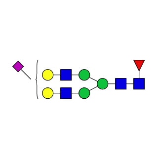 GKC-124301- AdvanceBio G2FS1 α(2,6) / FA2G2S(6)1 N-glycan standard (formerly ProZyme). N-glycan (mono-sialylated-, galactosylated biantennary complex, core-substituted with fucose). Qualitative standard for glycan identification. Alternative glycan names: FA2G2S1, F(6)A2G(4)2S(6)1, A1F