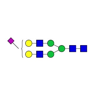GKC-124300- AdvanceBio G2S1 α(2,6) / A2G2S(6)1 N-glycan standard (formerly ProZyme). N-glycan (mono-sialylated-, galactosylated biantennary complex). Qualitative standard for glycan identification. Alternative glycan names: G2S1, A2G(4)2S(6)1, A1.