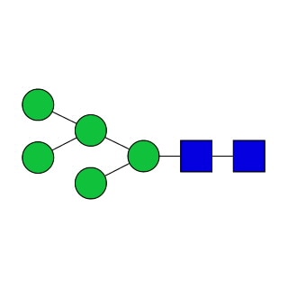 GKM-002500 — стандарт AdvanceBio Man5/M5 N-гликанов (ранее ProZyme). N-гликан (олигоманноза 5). Качественный стандарт для идентификации гликанов.