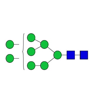 GKM-002800- AdvanceBio Man8 / M8 N-glycan standard (formerly ProZyme). N-glycan (oligomannose 8). Qualitative standard for glycan identification.