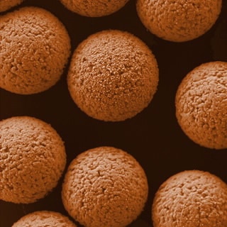 PL6727-1001- LodeStars 2.7 Стрептавидин 2 мл