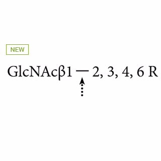 GK80050- AdvanceBio β-N-acetylhexosaminidase (formerly ProZyme). Enzyme cleaves all nonreducing terminal β-linked N-acetylglucosamine (GlcNAc). Also known as N-Acetyl-β-D-glucosaminidase, β-N-Acetylglucosaminidase. β(1-2,3,4,6)-specific. Use with GKX-5003 to determine the linkage position of β-linked GlcNAc residues. Does not release bisecting GlcNAc of N-glycans. No activity toward N-acetylgalactosamine (GalNAc). Includes 5x incubation buffer A [250 mM sodium phosphate pH 5.0].