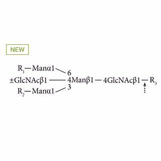 GKE-5002- AdvanceBio Эндогликозидаза H (ранее ProZyme). Фермент расщепляет ядро N,N'-диацетилхитобиозы (GlcNAc-GlcNAc) высокоманнозных и некоторых N-гликанов гибридного типа. Включает 5-кратный реакционный буфер для GKE-5002 (500 мМ цитрат/фосфат натрия, pH 5,5, денатурирующий раствор (2% SDS/1M βME, раствор детергента (15% раствор детергента).