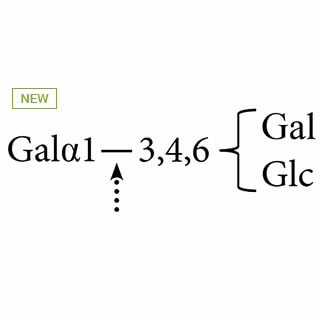 GKX-5007- α(1-3,4,6)-Galactosidase (coffee bean) (formerly ProZyme). Enzyme releases nonreducing terminal α(1-3,4,6)-linked galactose from oligosaccharides. Includes 5x Reaction Buffer [500 mM sodium citrate/phosphate (pH 6.0)]which when diluted gives 100 mM sodium citrate-phosphate pH 6.0.