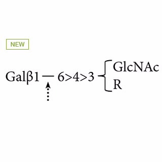GKX-5012- β(1-4,6)-Galactosidase (jack bean) (formerly ProZyme). Enzyme hydrolyses nonreducing terminal Galβ(1-6)GlcNAc and Galβ(1-4)GlcNAc. Galβ(1-3)GlcNAc is hydrolyzed slowly. The relative rates of hydrolysis are: β(1-6), 100%, β(1-4) 75%, and β(1-3), 1%. Galβ(1-6) and Galβ(1-3) can also be released from other aglycones although the rates of hydrolysis are variable. Includes 5x reaction buffer [250 mM sodium citrate phosphate (pH 3.5)]