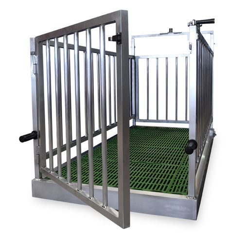 Платформенные весы BGHс отдельным индикаторомдля скота повышенной прочности