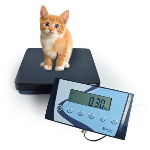 Платформенные весы APSс ЖК-дисплеемс отдельным индикаторомIP54