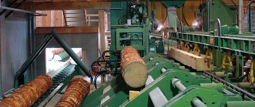 Ленточная пила RoboLinewoodlogcompact