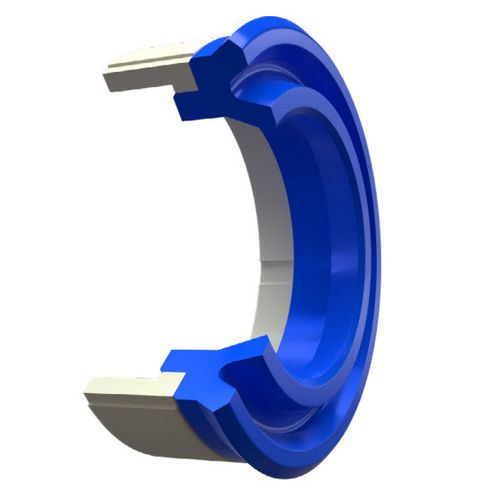 Уплотнение поршня серии TTE/W с губкамикруглоеPOM