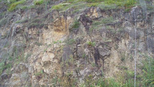 Забор из проволочной сетки Шестиугольная сетка