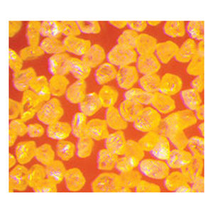 Абразивный порошок МБМ