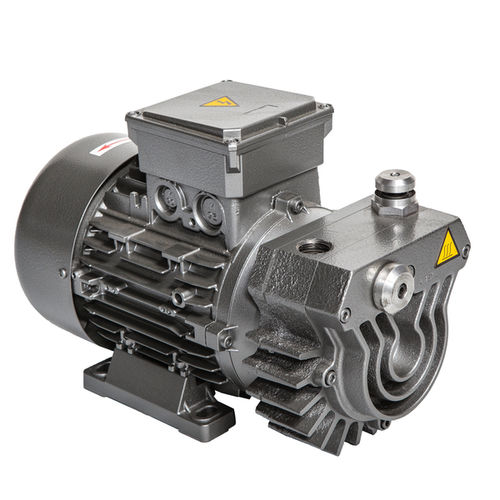 Rotary vane vacuum pump 6 S drysingle-stageATEX