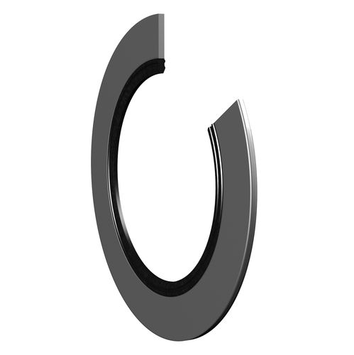 Flange seal lippedmetalelastomeric