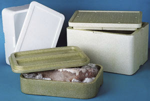 Compact enclosure polystyrene