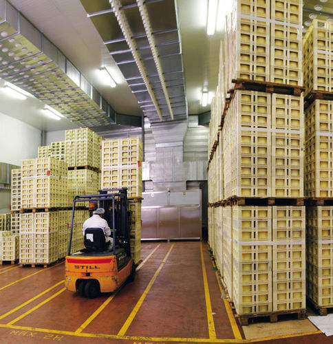 Cheese drying room KSQfor curingfor maturationfor the food industry