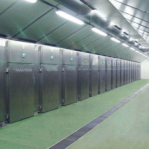 Варочная камера ВКМ Классик