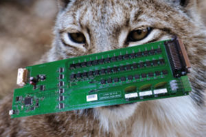 Плата мультиплексора LYNX 50