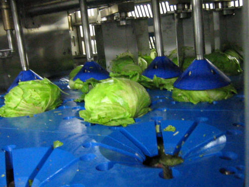 Машина для удаления сердцевины салата ДСИ-4П