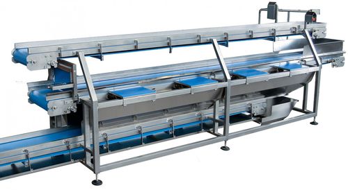 Belt conveyor NM3 for the food industryvegetable