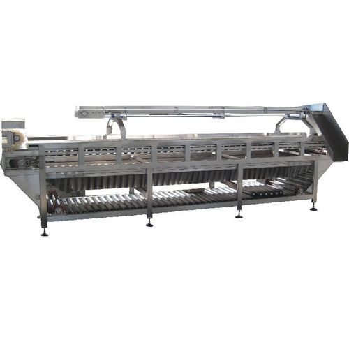 Грейдер для фруктов и овощей 156роликовыйс конвейером