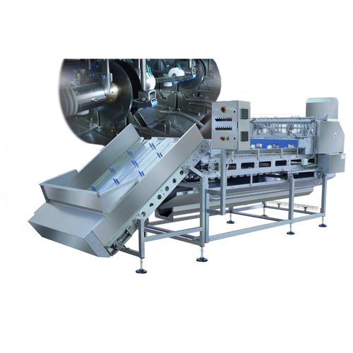 Onion snipper machine 1210