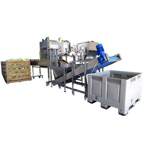 Cabbage processing line S80