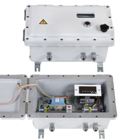 Electronic load limiter CRANE-BOY-Exd CRANE-BOYP-Exdfor overhead cranes