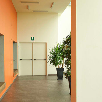 Распашная дверь FLY FIREстальнаяогнестойкаяпромышленная