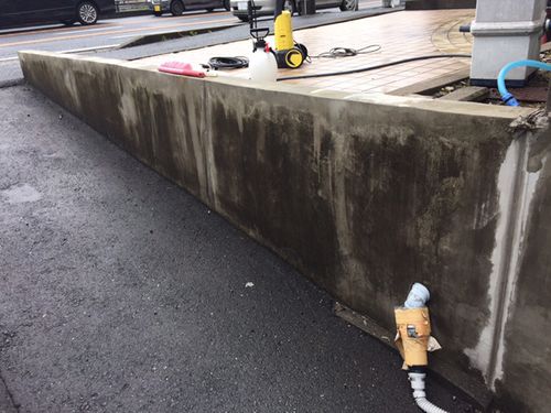 Чистящий химикат СБ-55