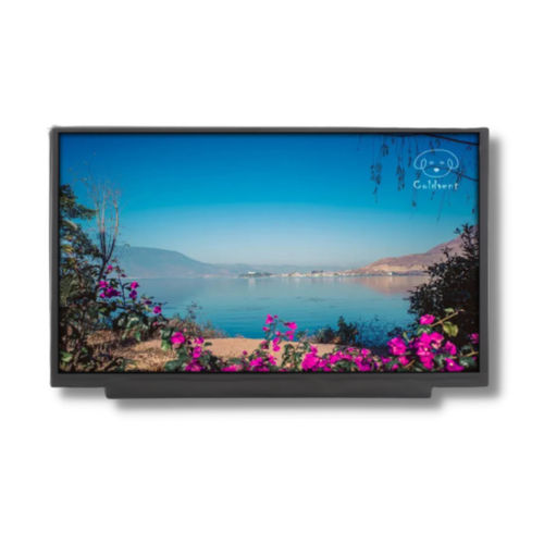 Модуль дисплея IPS TTX116BHT-01LCD/TFT1920 x 108011,6
