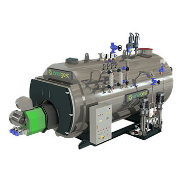 Биомасса парового котла