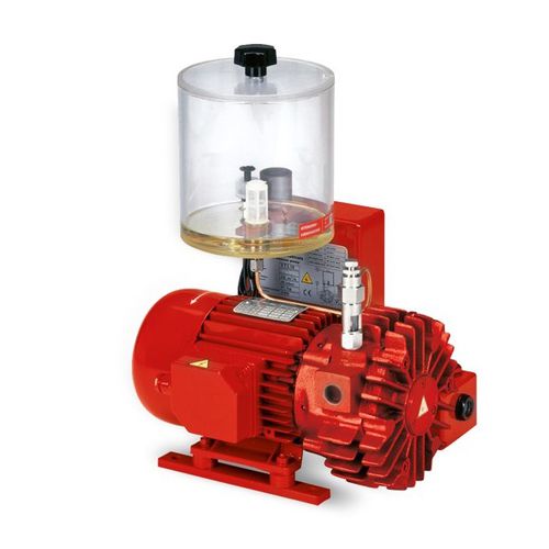 Насос вакуумный с прямоточной смазкой ВТЛП5роторно-лопастной одноступенчатый