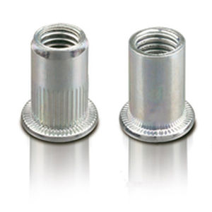 Blind rivet nut 613 seriesinox