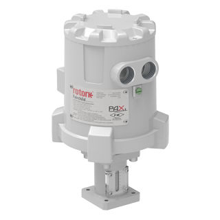 Линейный привод PAX1электрическийDCвзрывозащищенный