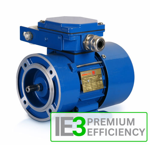 Single-phase motor 3SSIEasynchronous230 VIP55