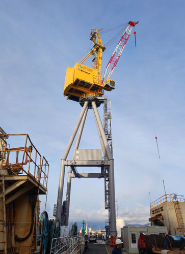 Кран на рельсовом ходу RBC 30 со стрелойдля морского примененияподъемный