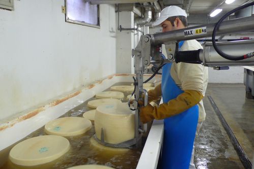 Pneumatic manipulator ATISmirus 80with gripping toolcheesefor materials handling