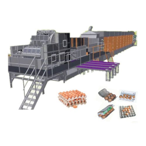 Завод по производству лотков для яиц Упаковочная машина серии HRD