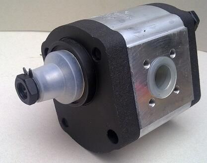 Гидравлический шестеренный насос гр. 2 МОТОР-РЕДУКТОРА с гидравлическим приводом для промышленного применения с фиксированным рабочим объемом
