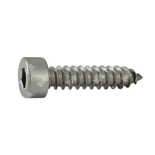 Винт с головкой под торцевой ключ серии ATCCEPhillipsaалюминий саморез