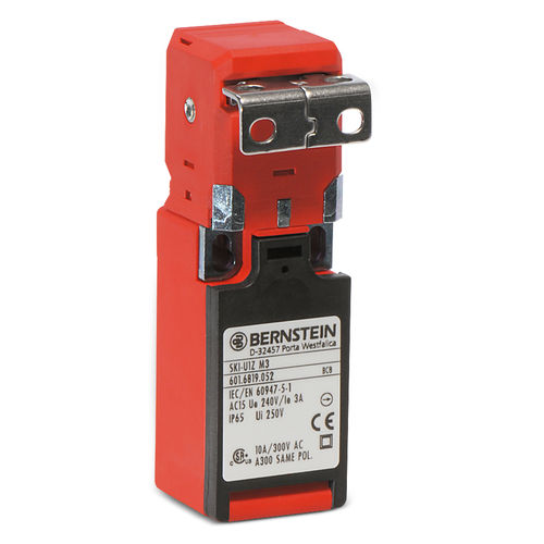 Выключатель безопасности серии SKIповоротный2-полюсный изолированный