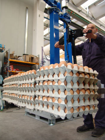 Mechanical manipulator loadingfor the food industry