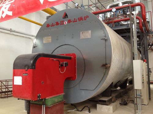 Паровой котел серии WNSгорячая водагаздымовая труба