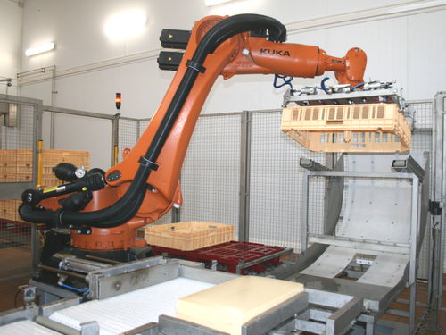 Robotic palletizer and depalletizer cheesefor cardboard boxescase