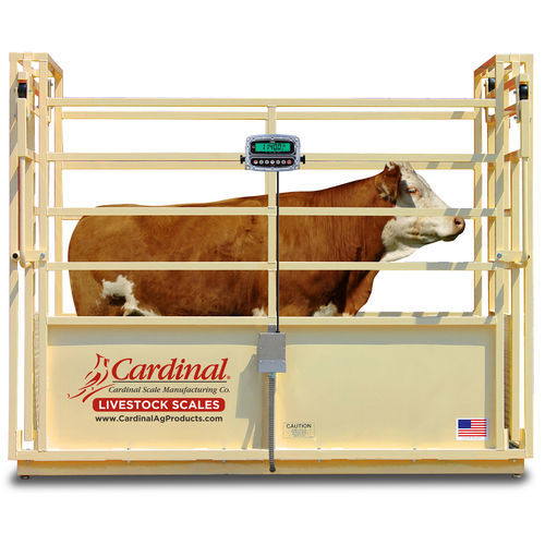 Весы для скота серии SLSплатформас отдельными индикаторамисталь