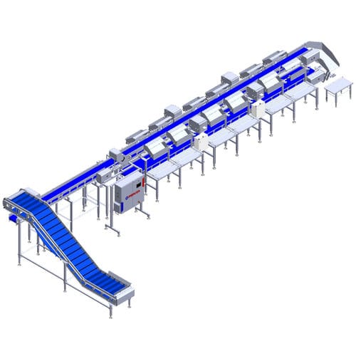 Ленточный сортировщик рыбыс конвейерными весами