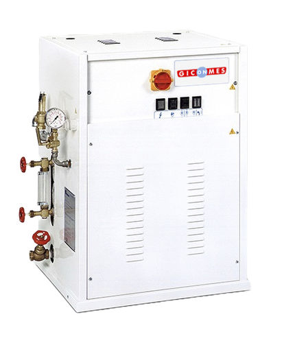 Парогенератор насыщенного пара НГВ-30электрический дровяной бескамерный