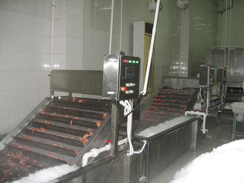 Машина для глазирования креветок льдом ZD-XL 10-40 дип