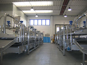 Промышленная варочная печь непрерывного действия с погружением и сушкой